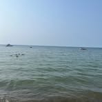 Daniel Burrows - Facebook