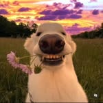 Daniel Burrus - @chromie_homie99 - Instagram