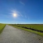 Daniel Buscher - @buscher.daniel - Instagram