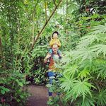 Daniel - @daniel.buschmann12021 - Instagram