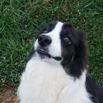 Daniel Busey - @daniel_the_hobo - Instagram