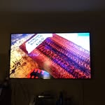 Daniel Busick - @mellowfellowtryinghard - Instagram