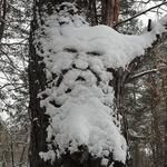 Daniel Busse - @daniel.busse.90038 - Instagram