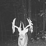 Daniel butrum - @dirty.dan54 - Instagram