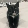 Daniel Buxton - @danielbuxton49 - TikTok