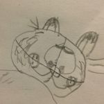 Daniel Buzan - @daniel.buzan_ - Instagram