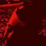 Daniel Buzzard - @danielbuzzard - Instagram