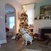 Daniel Buzzell - Facebook