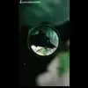 Daniel Byrnes - @daniel..byrnes - TikTok