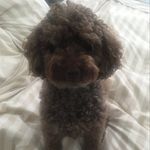 @jack_daniel_cable - Instagram