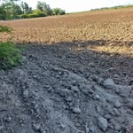 Daniel Cacho Staziuk - @danielcachostaziuk - Instagram