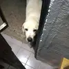 Daniel CAI - @user76057244daniel - TikTok