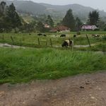 Daniel Cajamarca - @daniel.cajamarca.739 - Instagram