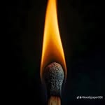 Daniel calado - @calado2834 - Instagram