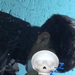 Daniel Caldera - @xdani_xlx - Instagram