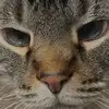 Daniel Camacho - @daniel.cdd - TikTok
