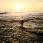 Daniel Cambridge - @danielcambridge6 - Instagram