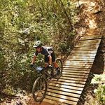 Guillermo Daniel Camelo - @guillermodanielcamelo - Instagram