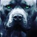 Daniel Cameron - Facebook