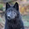 danielcaminiti19 - @danielcaminiti19 - TikTok