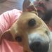Daniel Camp - Facebook