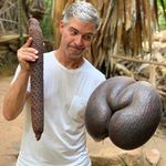daniel campagna - @danielcampagna5 - Instagram