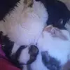 Daniele Campagna625 - @danielecampagna62 - TikTok