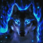 daniel campas - @dc5_killer_cub - Instagram