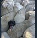 Daniel Camper - Facebook