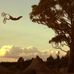 Daniel Camper - Facebook