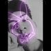 Dânîêl Câmpêrô - Facebook