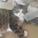DanielW - @daniel_camping_bei_jena - Instagram