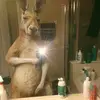 Daniel Campos - @daniel.caampos - TikTok