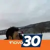 Daniel Campos - @danielcampos - TikTok