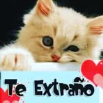 Daniel campoverde - @danielcampoverde075 - Instagram