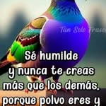Ramon Vega - @danielcamuscamus - Instagram