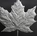 Daniel Canada - Facebook