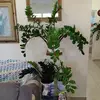 Daniel Cancel - @daniel.cancel - TikTok