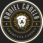 DANIEL CANELA  | PSICOLOGIA Y CONDUCTA CANINA. - @danielcanela_conductacanina - Instagram