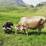 Daniel - @daniel.canevari - Instagram