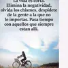 Daniel Canela - @danielcanela15 - TikTok