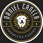DANIEL CANELA  | PSICOLOGIA Y CONDUCTA CANINA. - @danielcanela_conductacanina - Instagram