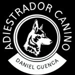 Daniel Cuenca | ADIESTRAMIENTO CANINO - @dc.adiestramientocanino - Instagram