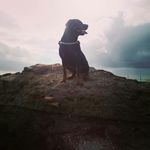 DAniel - @cannatadaniel11 - Instagram