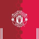 Daniel Lee Canning - @daniels_reviews_on_manutd - Instagram