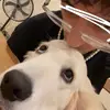 liamdanielcanning - @liamcanning_ - TikTok