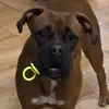 Daniel Cannizzo - @danielcannizzo79 - TikTok