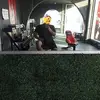 Daniel Canseco - @daniel.canseco4 - TikTok