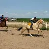 Daniel Cantu - @danielcantu372 - TikTok