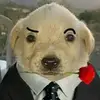Daniel Cantarero - @daniel._.cantarero0 - TikTok